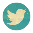 twitter-icon