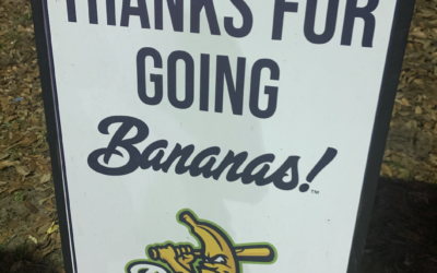 More Than Just Baseball: How the Savannah Bananas are Informing my Approach to Content Marketing