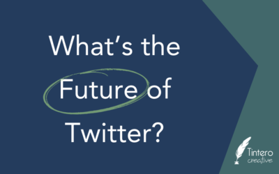 Twitter? X? What’s the Future of the Former Bird App?